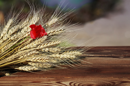 bouquet of ripe Golden wheat heads and red poppy flower lying on wooden tableの写真素材