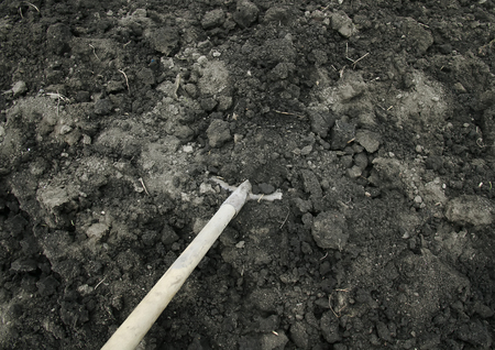 tool of an old shovel works into the ground in the garden in the spring to digging and plantingの写真素材