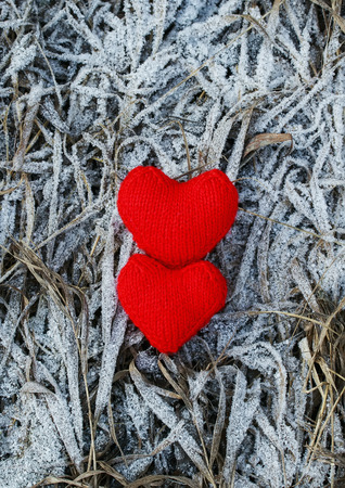 a pair of red knitted hearts are at last year's withered grass covered with a white frosty iciclesの写真素材