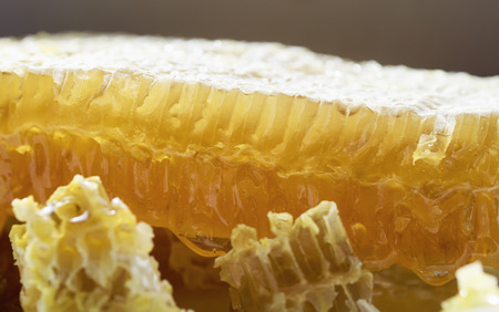 slices of delicious Golden honeycomb, with the resulting sticky sweet bright and fragrant honeyの写真素材