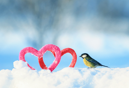 beautiful festive Valentine's day card with cute bird bird walks from the character frame of love in the form of red and pink heartsの写真素材