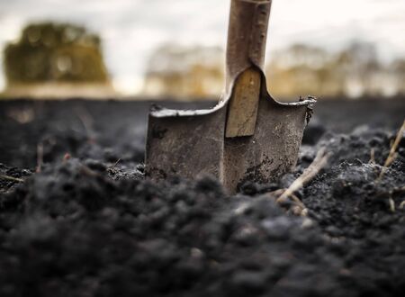 close-up of an old shovel stuck in the black earth in the vegetable garden in the autumn garden during agricultural workの写真素材