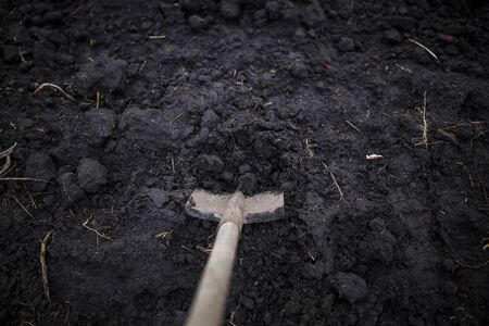 top view of metal shovel digging black soil land in the vegetable garden on the farm during autumn agricultural workの写真素材