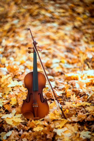 vertical postcard instrument wooden violin with bow stands in a sunny spring park among fallen golden foliageの写真素材