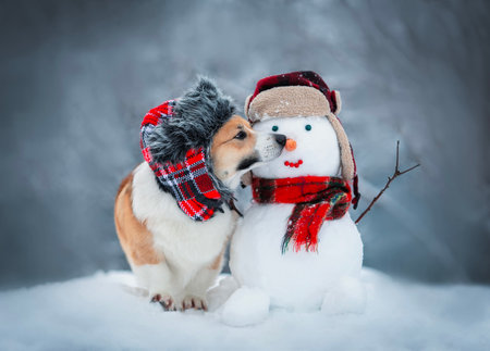 funny Christmas card with dog a corgi in a warm hat with earflaps sits with a snowman in a winter snow-covered New Year's gardenの写真素材