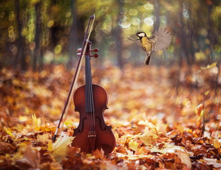 bird tit flies by a violin standing in a park with golden foliage on a sunny autumn dayの写真素材