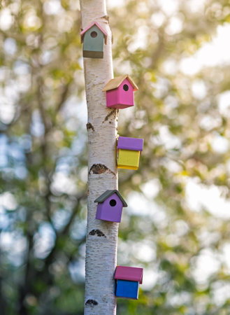many colorful birdhouses on a tree trunk in a spring sunny garden are waiting for the arrival of...