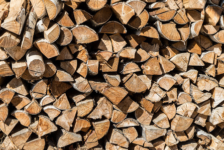 birch firewood, woodpile