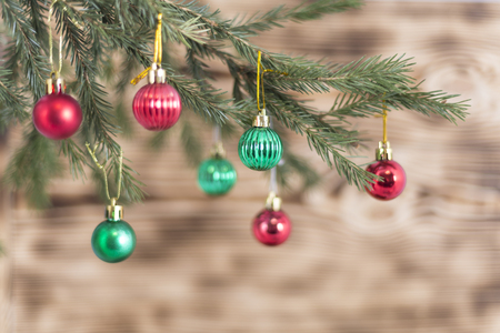branch with red and green balls on blurred background lightの写真素材