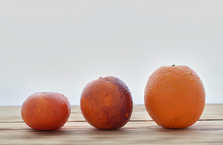 orange, red orange and mandarinの写真素材
