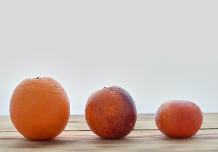 orange, red orange and mandarinの写真素材