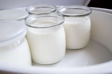 Several glass jars with classic Greek yogurt in the process of cooking in a yogurt maker close-up, homemade yogurt.の写真素材