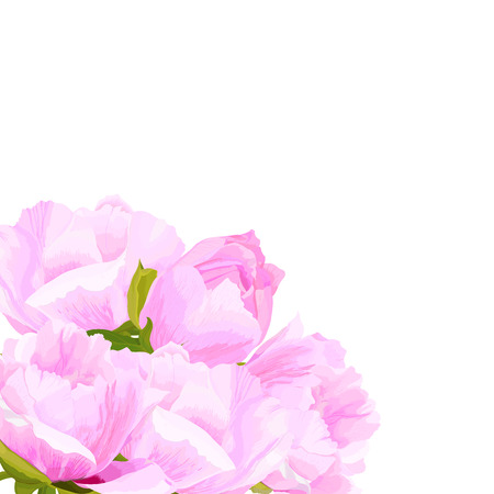Vector realistic illustration of peony flowers on a white background with clipping mask. Greeting card with place for text.のイラスト素材