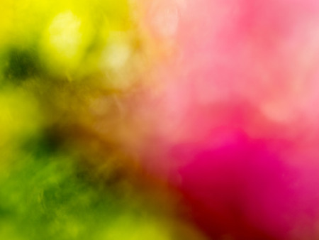 Green and pink backgroundの写真素材