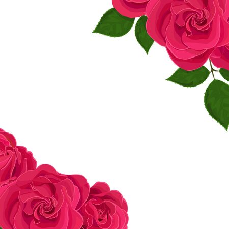 Vector realistic illustration of rose flowers with clipping mask. Greeting card with place for text.のイラスト素材
