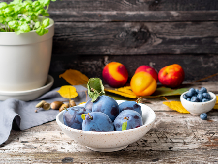 autumn background with ripe violet blue plums in white bowl on othe ld grey wooden table, side viewの写真素材