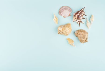 seashells design, conceptual idea, summer and holidays mockup on aquamarine background top view