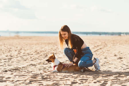 Beautiful young woman petting Corgi puppy, resting on beach. Female walking with dog on Sunny day on ocean coastline. Active lifestyle, pet careの写真素材