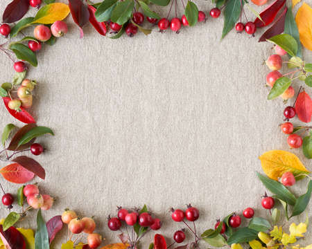 Autumn background of berries, small wild apples, acorns and leaves gray linen textile background....