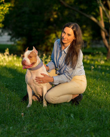 Brunette woman in casual clothes squatting on grass in park and hugging bicolor white-brown enthusiastic american pitbull terrier dog at sunset. Walking and training happy dog outsideの写真素材