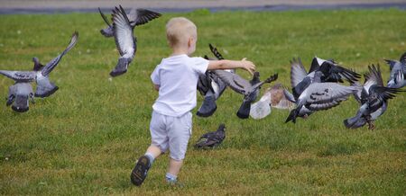child and pigeonsの写真素材