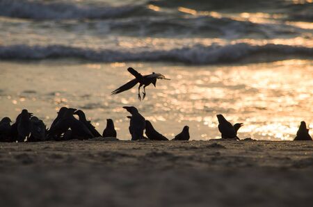 beautiful landscape declineの写真素材