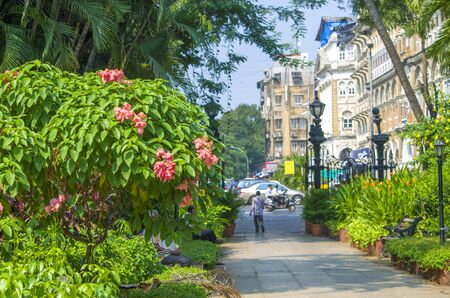 garden of plants and flowers Horniman in the city of Mumbaiの写真素材