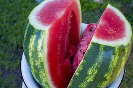 berry a water-melon ripe red with black seedsの写真素材