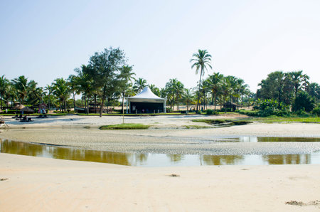 Beautiful landscape of the seashore with palm trees and tropical plantsの写真素材