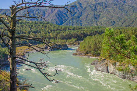 The Chuya River among mountains in Mountain Altai of Russia a beautiful landscape