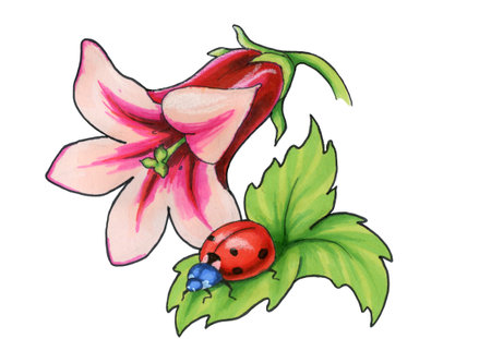 Hand drawn marker illustration of big flower and lady bug on a green leaf isolated on the white backgroundの写真素材