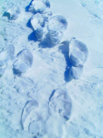 Footprints on the snow