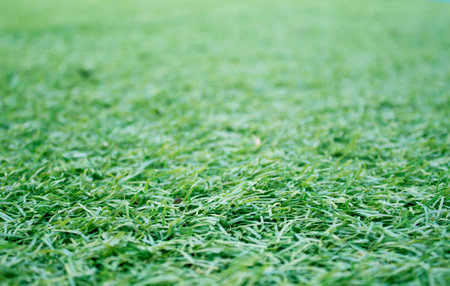 artificial synthetic grass background,の写真素材