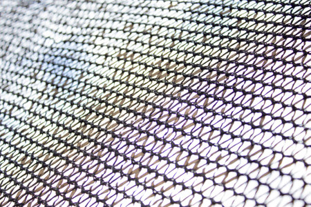 Fine mesh