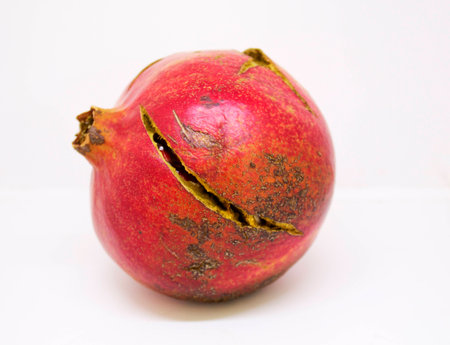 Ripe pomegranateの写真素材