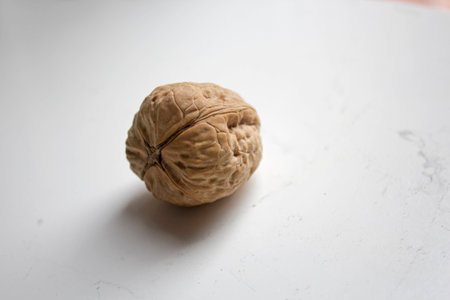 Isolated old walnut