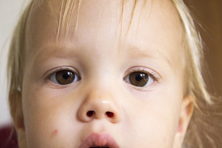 Little serious toddler with big brown eyesの写真素材