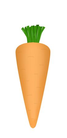 The drawn carrotの写真素材