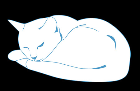sleeping white catのイラスト素材
