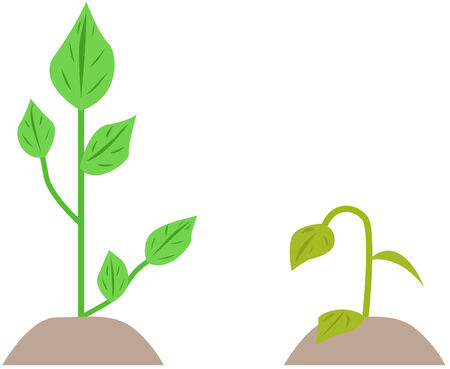 two plants, one green, second fadedのイラスト素材