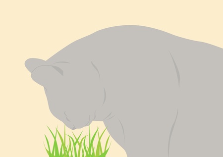 gray cat eats a grassのイラスト素材