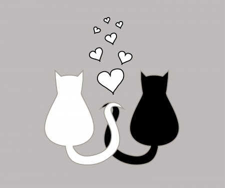 love of two cats, illustrationのイラスト素材