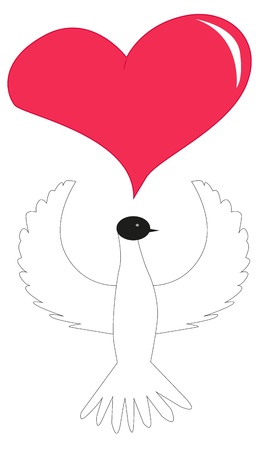 Seagull and red heart on white backgroundのイラスト素材