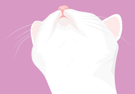 The cat sniffs something, stretching his neckのイラスト素材