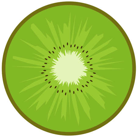 Slice of ripe kiwi fruit close upのイラスト素材