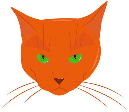 The muzzle of a red cat with green eyesのイラスト素材