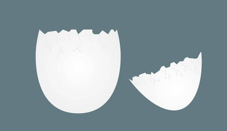 Broken egg, egg shells with cracks, vectorのイラスト素材