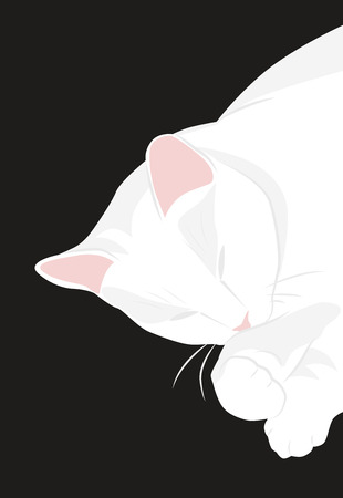 Cute sleeping white cat with a pink noseのイラスト素材