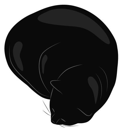Big black cat sleeps curled up, vector illustrationのイラスト素材