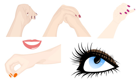 Set of female hands in different positions, lips and eye, vector illustrationのイラスト素材